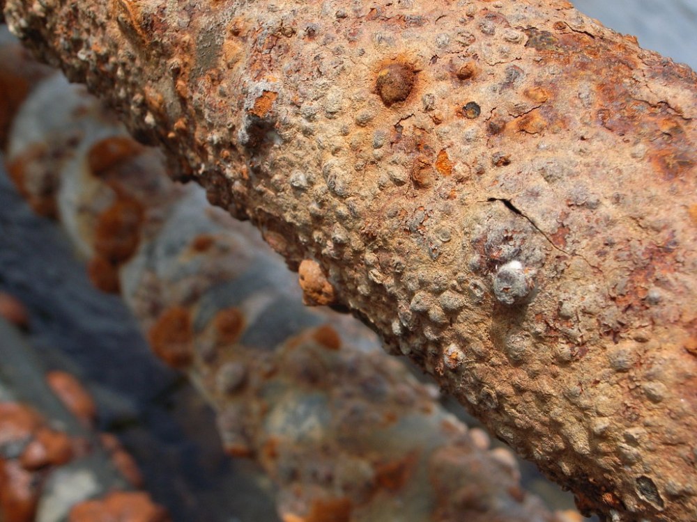 4844722553_634955e030_b